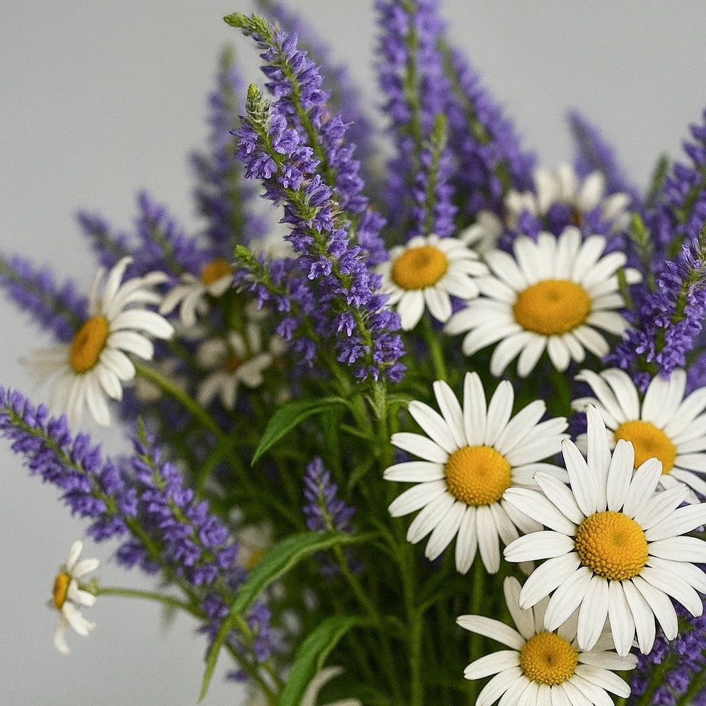 The XL Luxury Candle - 1kg | Chamomile & Lavender Algarve candle company