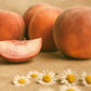 Soy Candle | 40hr | Cashmere & Peach Algarve candle company